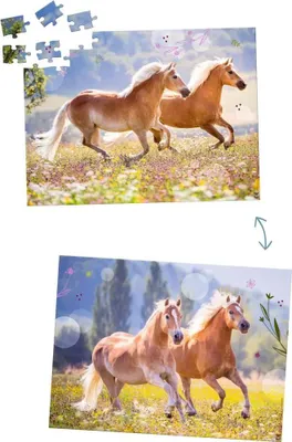 Produktbild von Pferdefreunde - Lentikular-Puzzle 100 Teile