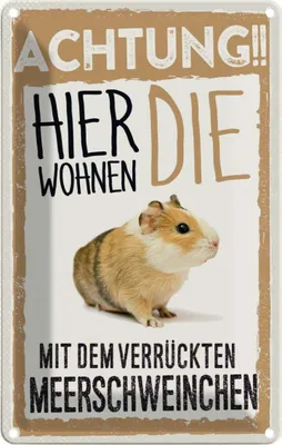 Produktbild von vianmo Blechschild 18x12 cm Tiere Achtung hier Meerschweinchen Tier Haustier