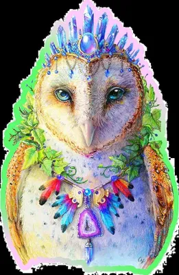 Image de WOODEN CITY Puzzle en bois Glorious Owl 150 pièces ECO