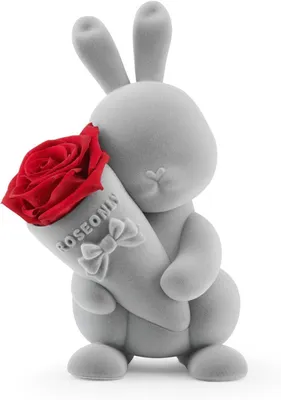 Produktbild von Kunstblume Roseonly Rosenbär Teddybär Rot, Valentinstag Teddy Bär für Frauen Ewige Rose Teddy, Ewige Rose mit Herz für Sie, Frauen, Frau, JUNG