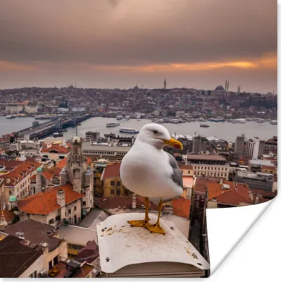 Produktbild von MuchoWow® Poster Seemöwe - Istanbul - Architektur 100x100 cm - Babyzimmer