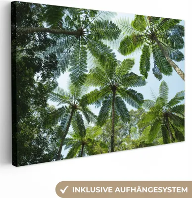 Produktbild von OneMillionCanvasses® - Leinwandbilder - 150x100 cm, Bäume und Blätter im Dschungel, Wandbilder Kunstdruck Wanddekoration
