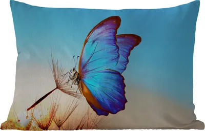 Produktbild von MuchoWow® Outdoor Kissen - Schmetterling - Löwenzahn - Blau - 60x40 cm - Wetterfest - Lounge Kissen - Zierkissen - Kissen für Innenräume