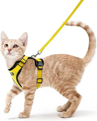 Produktbild von Famanu Katzenharness mit Leine - Verstellbar, Gelb, XS