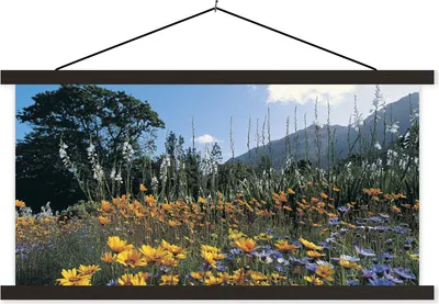 Produktbild von MuchoWow® Textilposter Blumen - Natur - Farbe 90x45 cm mit schwarzem Rahmen - Klemmleisten