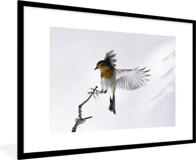 Produktbild von MuchoWow® MuchoWow® Gerahmtes Poster Nahaufnahme Vogel 90x60 cm - Poster mit zchwarzem Bilderrahmen - Wanddekoration - Fotos