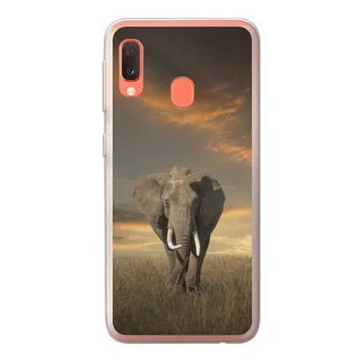 Produktbild von MuchoWow® Handyhülle Schutzhülle Hülle für Samsung Galaxy A20e Elefant - Tiere - Gras - Natur Silikon Softcase Handy Hülle - Abdeckung