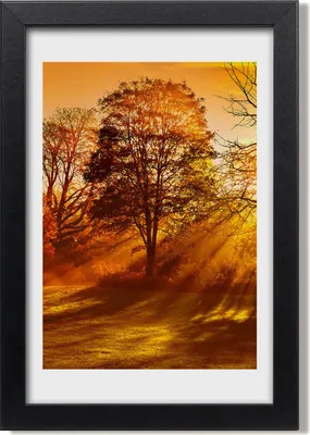 Produktbild von Bild 20x30 MDF-Rahmen, Wandkunst Park im Herbst