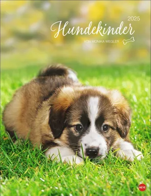 Produktbild von Hundekinder Posterkalender 2025
