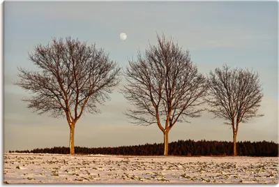 Produktbild von ARTland Leinwandbild Abendlicht im Winter Größe: 30x20 cm