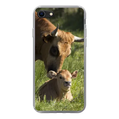Produktbild von MuchoWow® Handyhülle Schutzhülle Hülle für iPhone 8 Kuh - Gras - Horn - Kalb Silikon Softcase Handy Hülle - Schutzhaube