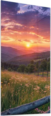 Produktbild von Glasbild 30x60cm in XXL für Wohnzimmer, Schlafzimmer Motiv Sonnenuntergang Wiese