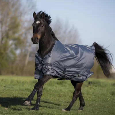 Produktbild von BUSSE Outdoordecke 0g Windchill Regendecke Grau (Navy) 135