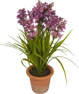 Produktbild von Künstliche Frühlingsblume im Topf wie echt, Frühlingsdeko & Osterdeko Innen & Außen, Kunstblumen Forsythie, Blumen Gesteck Ostern Lila
