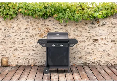 Immagine prodotto di Campingaz CAMPINGAZ Xpert 200 LXD Gasgrill mit zwei Stahlbrenner