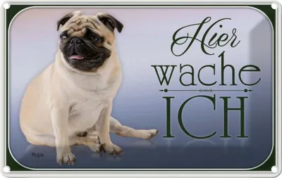 Produktbild von vianmo Blechschild 12x18 cm Hund Mops hier wache ich Tier Haustier