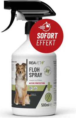 Produktbild von REAVET Anti Flohspray für Hunde 500ml – Flohmittel Hund bei Befall & vorbeugend mit Langzeit Schutz, Floh Spray auch für Welpen, Textilien, Wohnung und Umgebung geeignet