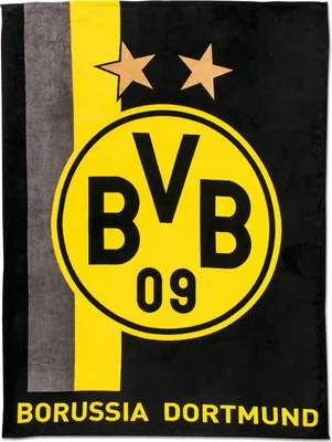 Produktbild von BVB Fleecedecke mit Streifenmuster
