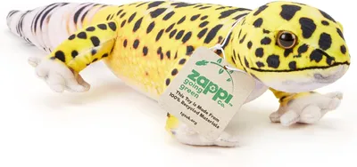 Productafbeelding van Pluche knuffel, leeuwergekko, 45 cm, zacht, geschikt voor pasgeborenen