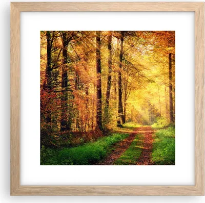 Produktbild von Gerahmtes Poster - Rahmen in heller Eiche - Wald Baum Natur - 30x30 cm - Wand Bild - Wanddeko - Wandbilder - Kunstposter - Wandposter - Bilderrahmen - Bilder - Kunstdruck - Wandbild - P2NAC30x30-3718