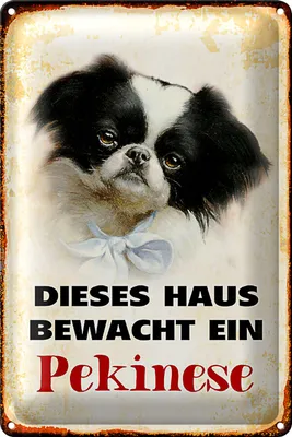 Produktbild von Blechschild Hund 40x30cm dieses Haus bewacht ein Pekinese
