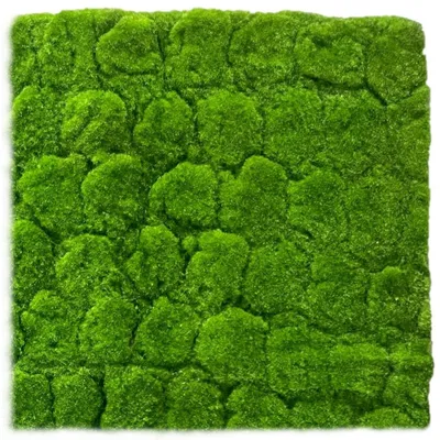 Produktbild von Künstliches Moos 50 x 50 cm. Moosmatte GRÜN