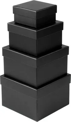 Produktbild von Rechteckige Aufbewahrungsboxen 4er Set Schwarz in verschiedenen Größen