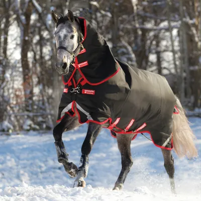Immagine prodotto di Horseware Rambo Supreme Turnout Heavy Vari Layer 450g - Nero/Rosso, 140