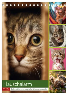 Produktbild von Flauschalarm (Tischkalender 2027 DIN A5 hoch), CALVENDO Monatskalender
