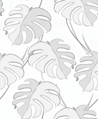 Produktbild von Vliestapete 81604 Kylie Monstera Blätter weiß grau