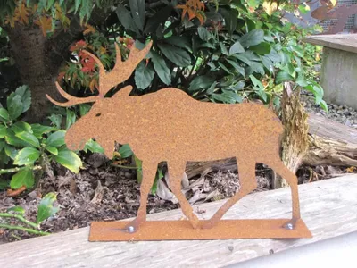 Produktbild von Edelrost Elch Rudolph 16 cm