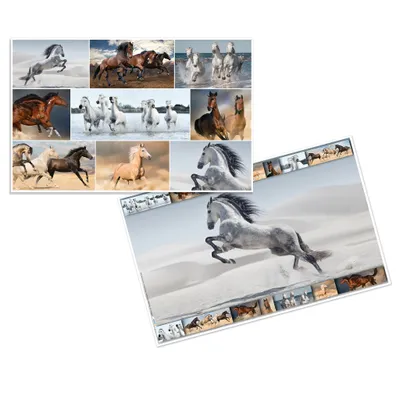 Image de Herma 19380 Sous-main Chevaux 55 x 35 cm(P)