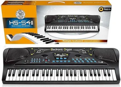 Obrázok produktu pre Organ 54 klávesov s mikrofónom a nabíjačkou USB