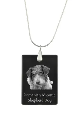 Produktbild von Ciobănesc Românesc Mioritic, Mocano, Barac - Kristallanhänger mit Hund, Silberhalskette mit Foto, personalisierter Anhänger der Marke Art-Dog