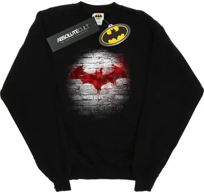 Produktbild von DC Comics - Sweatshirt für Herren BI11556 (S) (Schwarz)