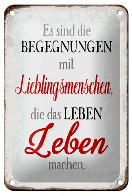 Produktbild von Blechschild Spruch 12x18cm Begegnungen Lieblingsmenschen