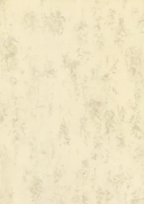 Image de BRUNNEN 105141211 Papier multifonctionnel Papier universel Marbre A4 chamois