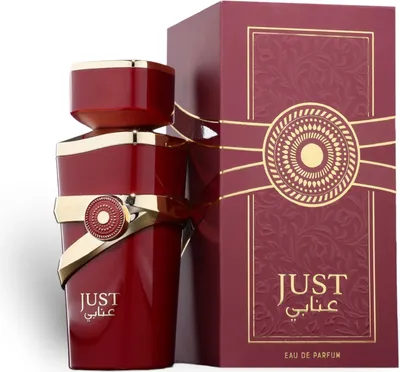 Produktbild von Fragrance World Just Anabi Eau de Parfum 100ml