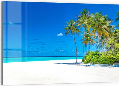 Produktbild von DEQORI Glasbild Echtglas 90x60 cm 'Palmenstrand Panorama' Wandbild Bild modern Deko