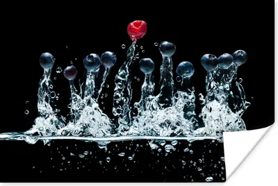 Produktbild von MuchoWow® Poster Beeren - Wasser - Schwarz - Obst - Himbeere 90x60 cm - Schlafzimmer