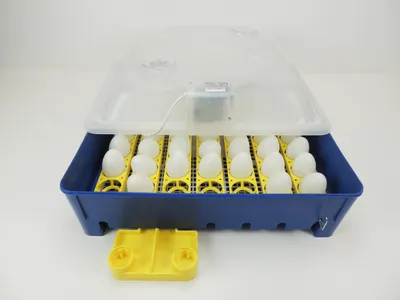 Produktbild von GWF - Inkubator Incubator Brutkasten Brutmaschine Brutapparat Brüter Motorbrüter