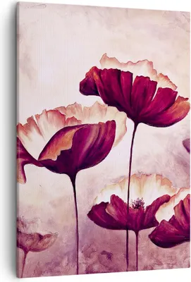 Produktbild von Bild auf Leinwand - Leinwandbild - Einteilig - Mohn Blume Wiese - 50x70cm - Wand Bild - Wanddeko - Wandbilder - Leinwanddruck - Kunstdruck - Wanddekoration - Leinwand bilder - Wandbild - PA50x70-3934