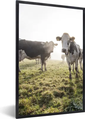 Produktbild von MuchoWow® Gerahmtes Poster Kühe - Licht - Gras - Tiere 60x90 cm - Poster mit Schwarzem Bilderrahmen Wandposter Rahmen Foto Bilder - Kunst