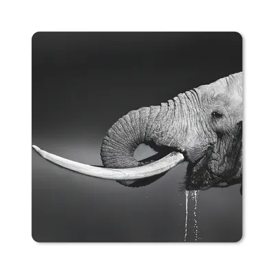 Produktbild von MuchoWow® Mauspad Mousepad Elefant - Wasser - Tiere - Schwarz - Weiß 20x20 cm - Mousepads - Maus Mat - Pad - Mausunterlage - Desk Mat - Bureauartikeln