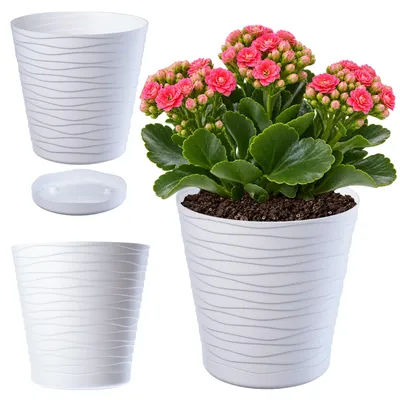 Produktbild von KADAX Blumentopf mit Untersetzer "Greve", Blumenkübel, Pflanztopf aus Kunststoff, Übertopf, rund, 15 cm, Weiß