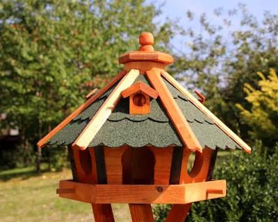 A wooden birdhouse with a green roof is shown outdoors, with trees and bushes in the background.