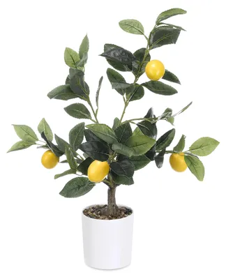 Image de Citronnier décoratif, 58 cm