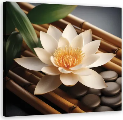 Produktbild von Leinwandbild Steine Zen Blumen 40x40 Feeby Grün bild für die wand bereit zum aufhängen