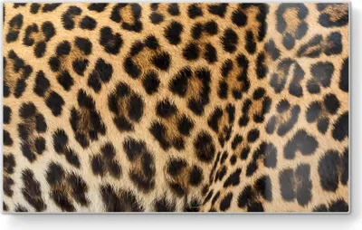 Produktbild von DEQORI Frühstücksbrett Glas 23x14 cm 'Muster der Wildnis' Schneidebrett Schneideplatte