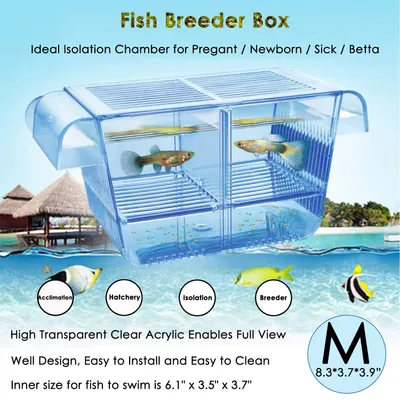 Produktbild von capetsma Fisch-Züchterbox, zum Aufhängen, für Kinderzimmer, mit Brutschbrüpfen u